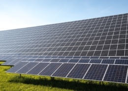panneaux solaires photovoltaique posés au sol