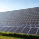 panneaux solaires photovoltaique posés au sol