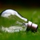 électricité verte groupe roy énergie