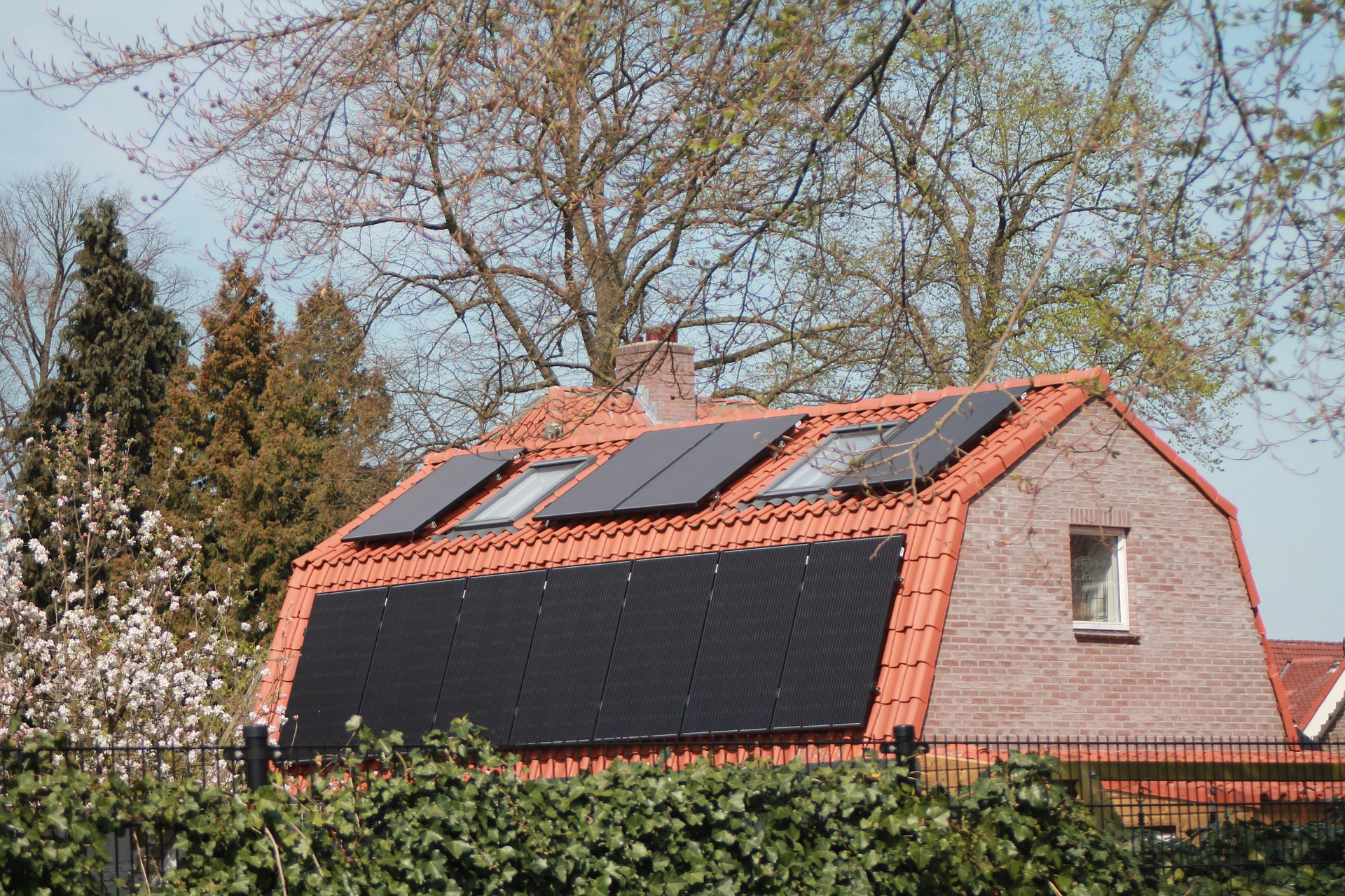 Panneau photovoltaïque monocristallin noir