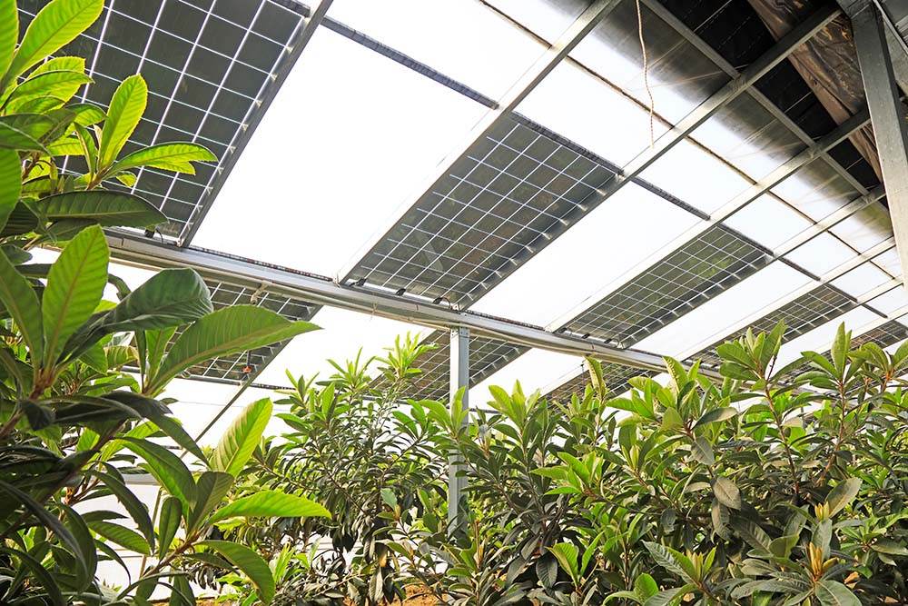 Agrivoltaïsme panneaux photovoltaïques intelligents